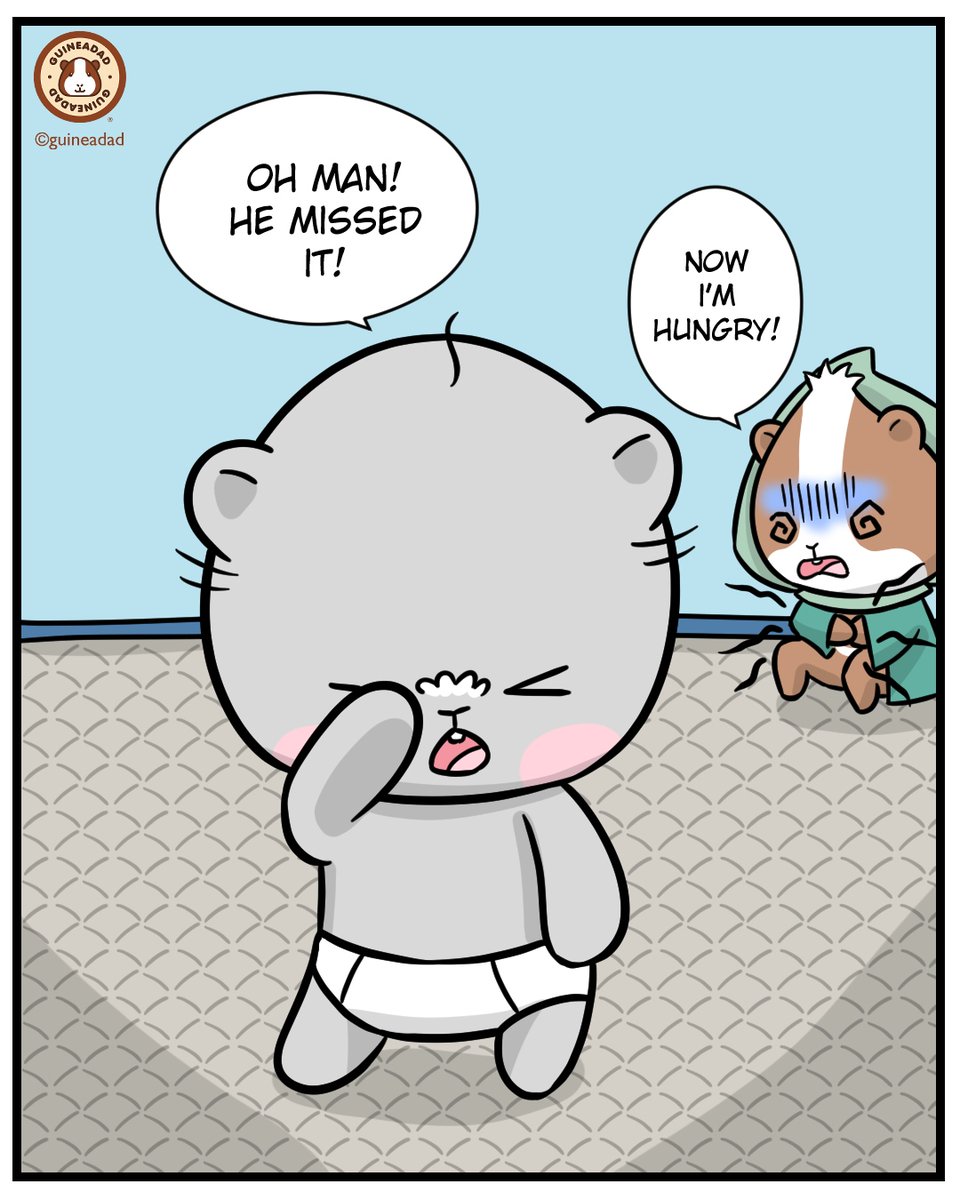 GuineaDad's tweet image. I wonder if this is what guinea pig's think every time I pass the fridge without giving them a treat 😂 #iwonder #foodforthough #weird #guineapig #guineadad

Shop GuineaDad Liners by clicking guineadad.com/collections/gu… 🧡