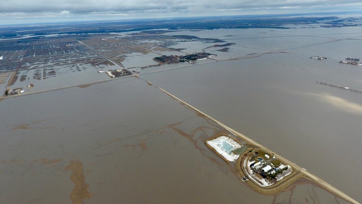 Harley Siemens tweet media