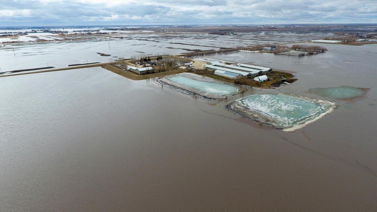 Harley Siemens tweet media