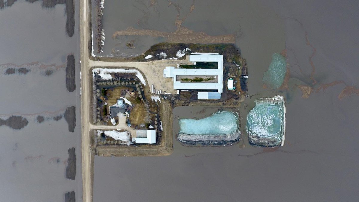 Harley Siemens tweet media