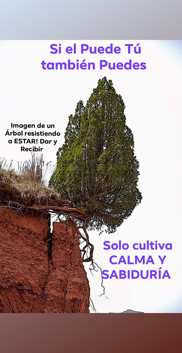luisaggmty's tweet photo. Tú también puedes ESTAR en MEJORÍA! Solo cultiva #calma y #sabiduria #keepcalm #Energia #meshico https://t.co/mmdpW33k6V