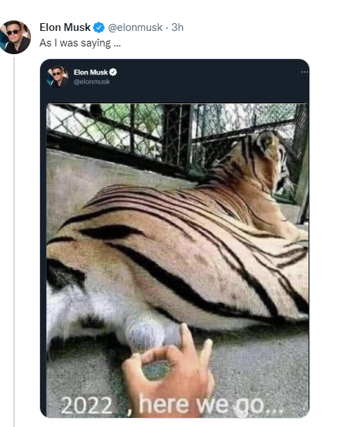 Bee in a tree tweet media