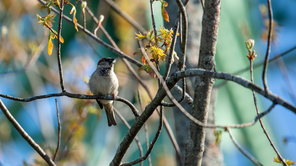 DrBryanBlack's tweet photo. In a desperate attempt to revive my #hobbies, I'm committing to post at least one new photo per week. #Thankful for twitter's format. This commitment will be buried beneath 2,000 Gatorlyte promotions before I fail in 7 days. #NaturePhotography https://t.co/gKhhRwFtT9