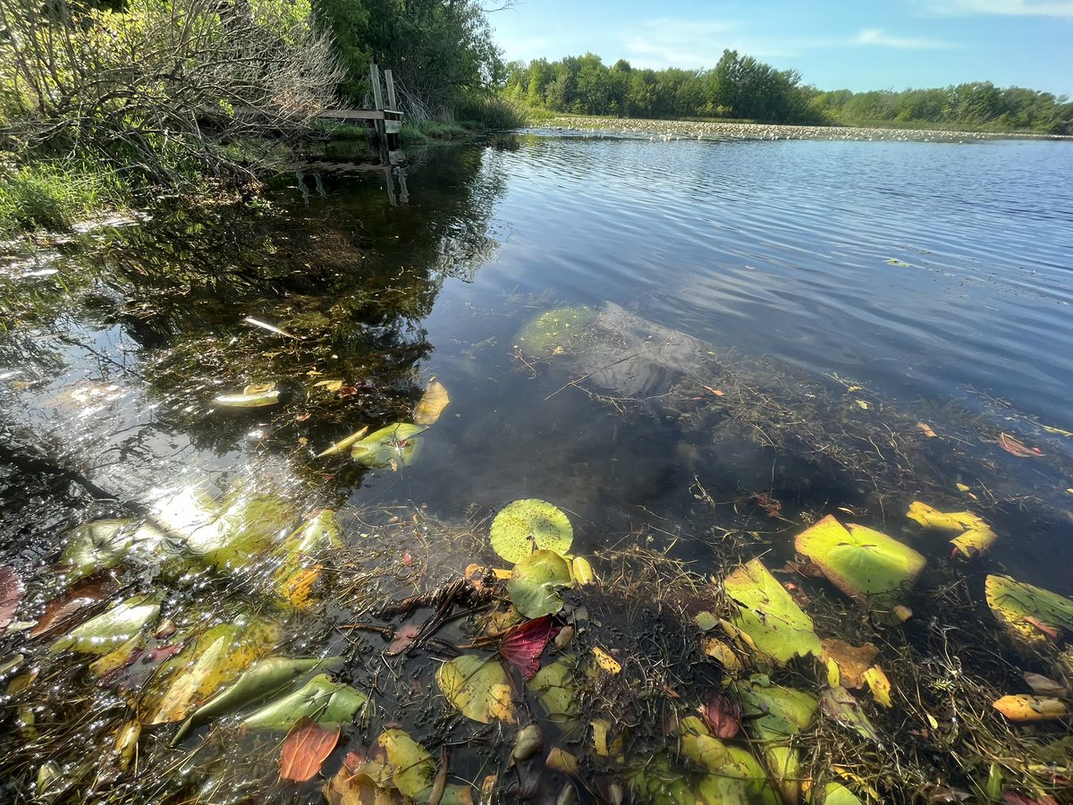 Caitlin Sweeney tweet media