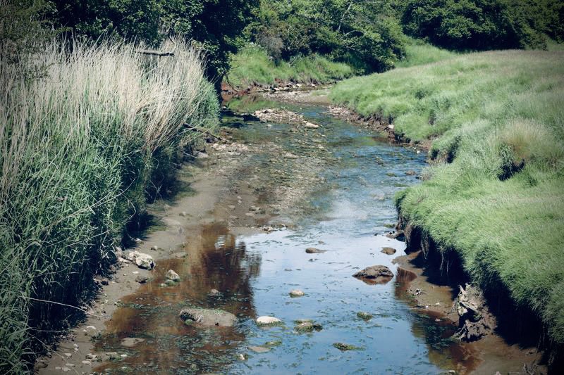 Agent102SW's tweet image. Half expecting a hand to reach up from the water. 🧟