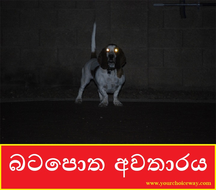 LokayaWishmitha's tweet photo. බටපොත අවතාරය (Batapotha)

සම්පූර්ණ ලිපිය කියවන්න👉    https://t.co/3CrXNJUlWW    👈

Google Paly 👉  https://t.co/CN5hIN0Cam

 #wishmithalokya #wishmithalokaya #srilanka #sinhala #srilankan #sinhalablog #විශ්මිතලෝකය #සිංහල #lka #blogger #blog #sinhalablogger #wordpre https://t.co/YgIKBVoL3D