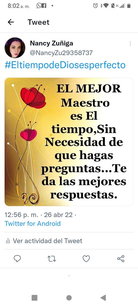 Nancy Zuñiga (@nancyzu97) on Twitter photo 