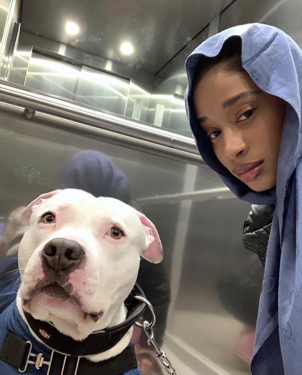 ARTIFAXING (@pedestrian) on Twitter photo 