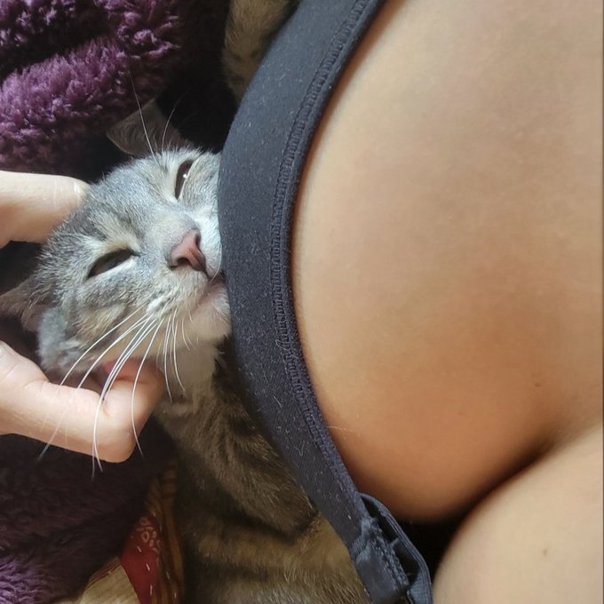 Kiddo is my boobs number 1 fan https://t.co/kBCcWzm4jM<a href="/tag/zz"class="tags"><span>#zz</span></a><a href="/tag/brazzers"class="tags"><span>#brazzers</span></a>