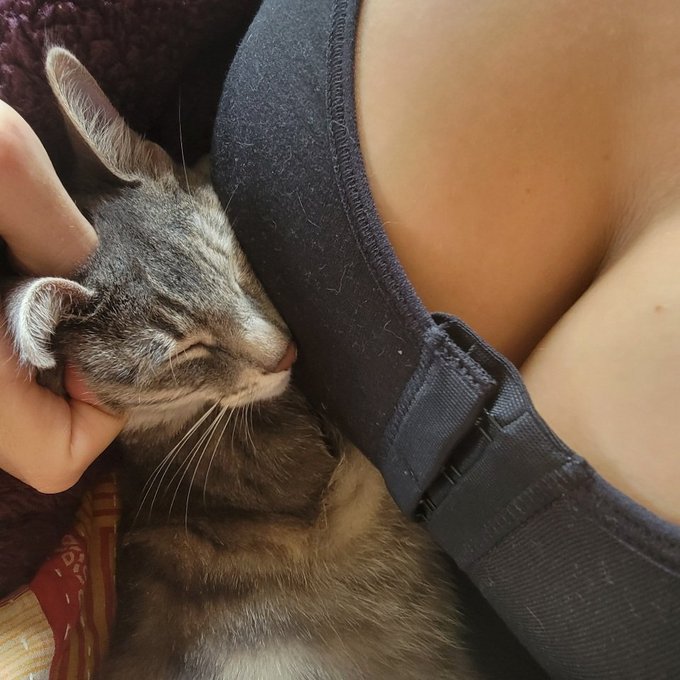 Kiddo is my boobs number 1 fan https://t.co/kBCcWzm4jM<a href="/tag/zz"class="tags"><span>#zz</span></a><a href="/tag/brazzers"class="tags"><span>#brazzers</span></a>