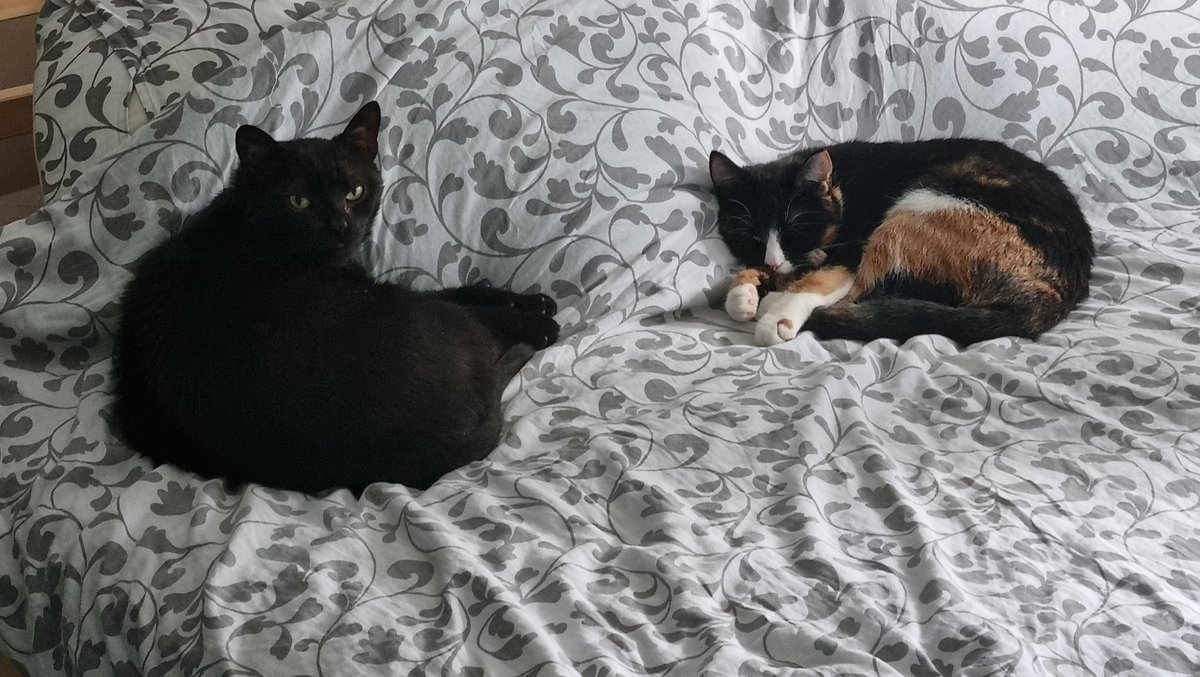 Bernard Bachrach tweet media