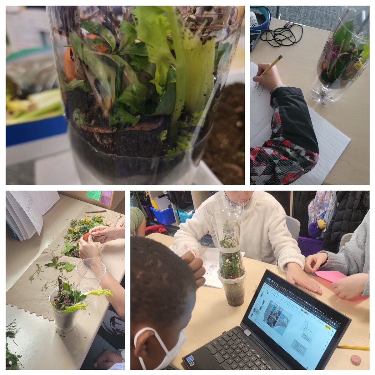 Carolyn Colley, PhD tweet media