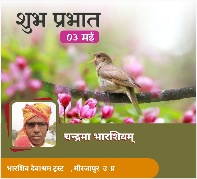 bhaarshiva's tweet photo. https://t.co/cxlJQ3OaOB