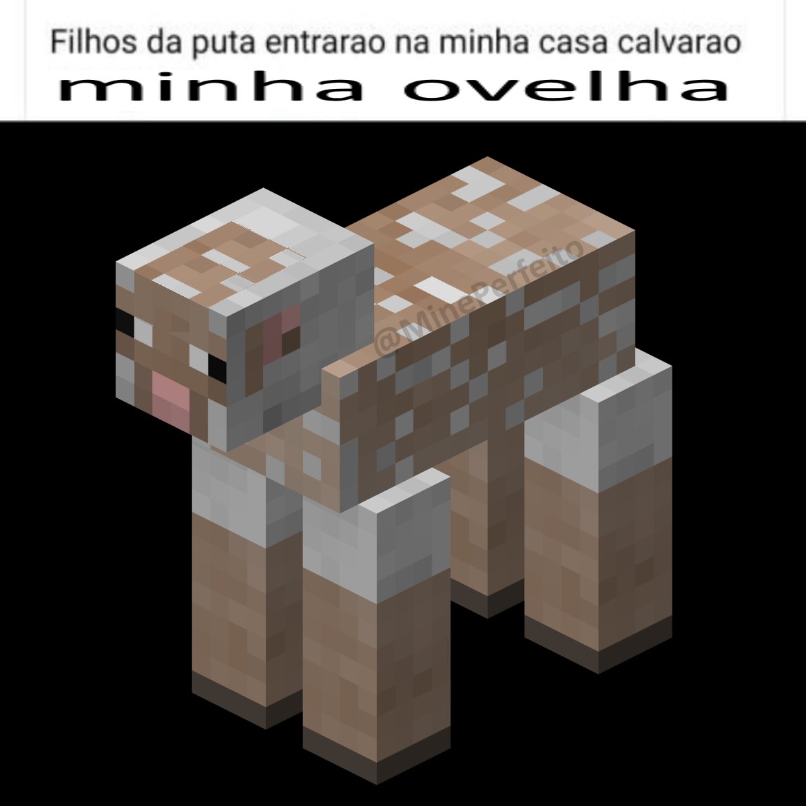 Entraram no meu Minecraft e calvaram minha casa Es Er - iFunny Brazil