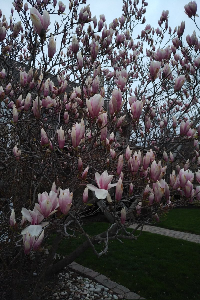 pattimarathon's tweet image. #WhileWalking