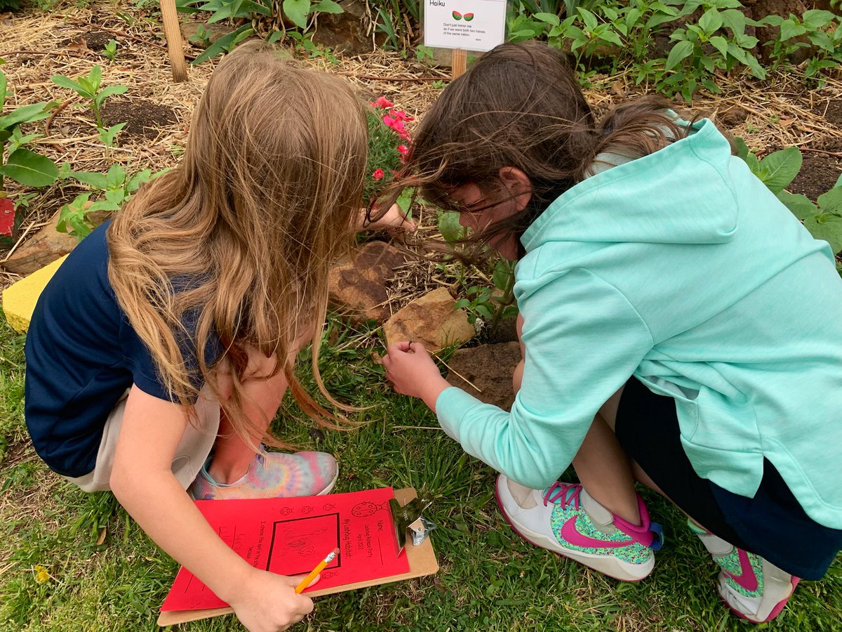 Cleveland School Garden tweet media