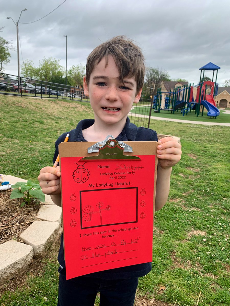 Cleveland School Garden tweet media