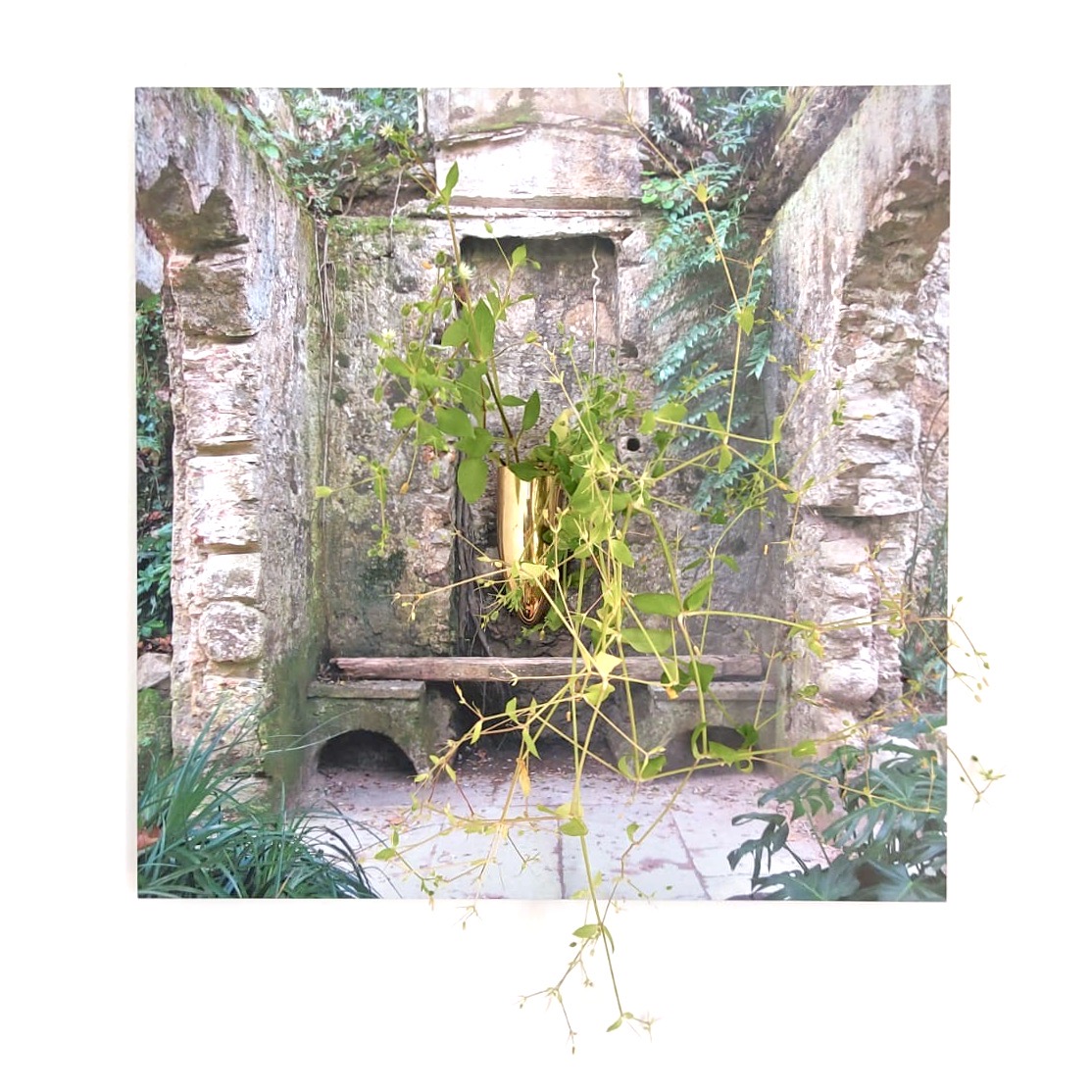 Honevo's tweet photo. Bionic Photography - Living Garden Art #BionicPhotography #Living #Garden #BiHemisphericArt #Biomagnetic #Ecosystem #FotografiaBionica #Honevo #BionicPhoto #Hightech #Bioart #Green #PET #Smart #Plants https://t.co/K4WRc09hRj