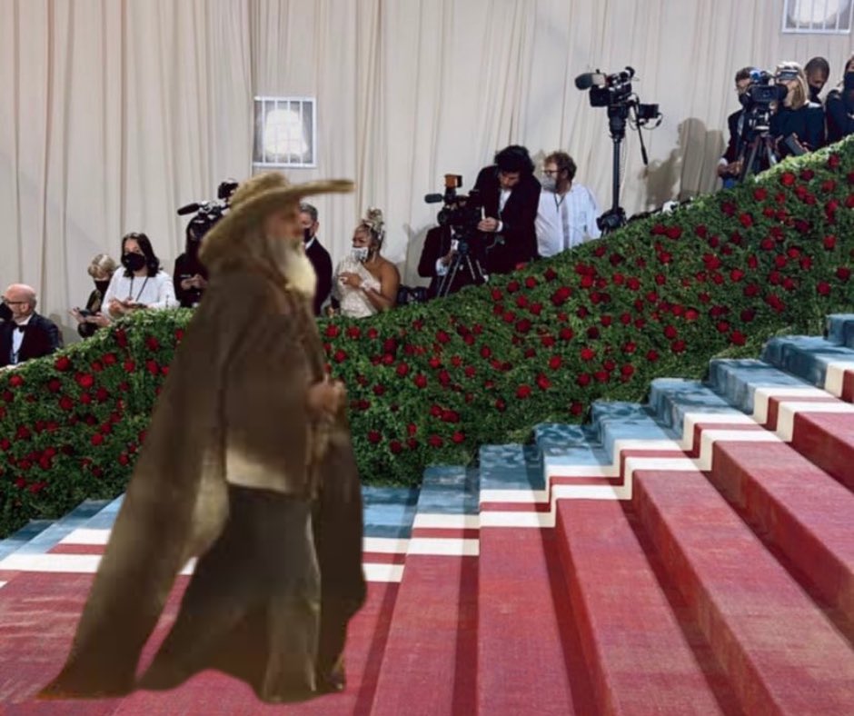 inkomagirl's tweet image. Veio do Rio chegando para o #MetGala

#Pantanal