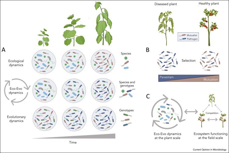 Akos T. Kovacs tweet media