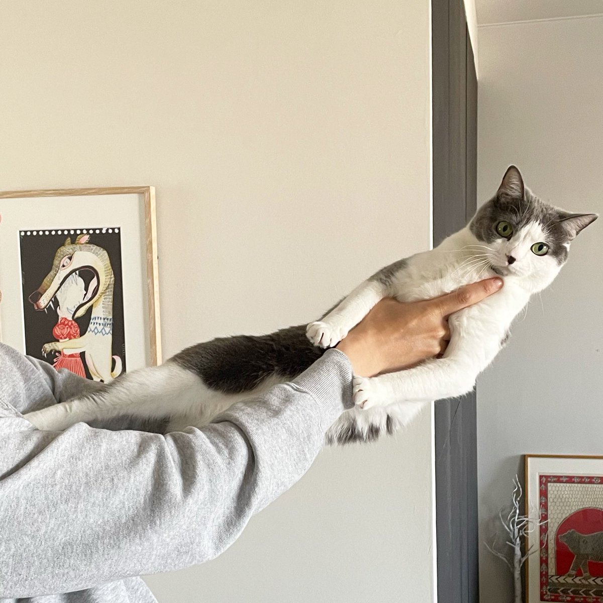 抱っこが苦手な猫さんの連休恒例 もはやアートのような 抱っこ拒否 力強くて趣がある やりすぎると後ろの絵のようになる Togetter
