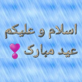 شفاقت انصاری PTI سپورٹ tweet media