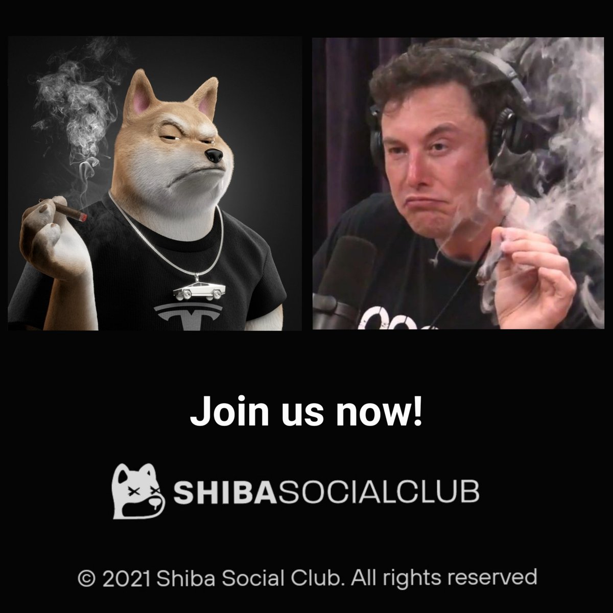x_Smithers_x's tweet photo. @Shibaclubnft is my favourite NFT project 🗺
We are combining great art, utility and an awesome community 🙏🏼
Our legendary Shiba #5173 is based on @elonmusk 👀

Join our community on Discord: https://t.co/wJZXDObojc

#NFT #shiba #SHIBARMY #NFTCommunity #ElonMusk #ETH #ambassador https://t.co/BXwVc75dtC
