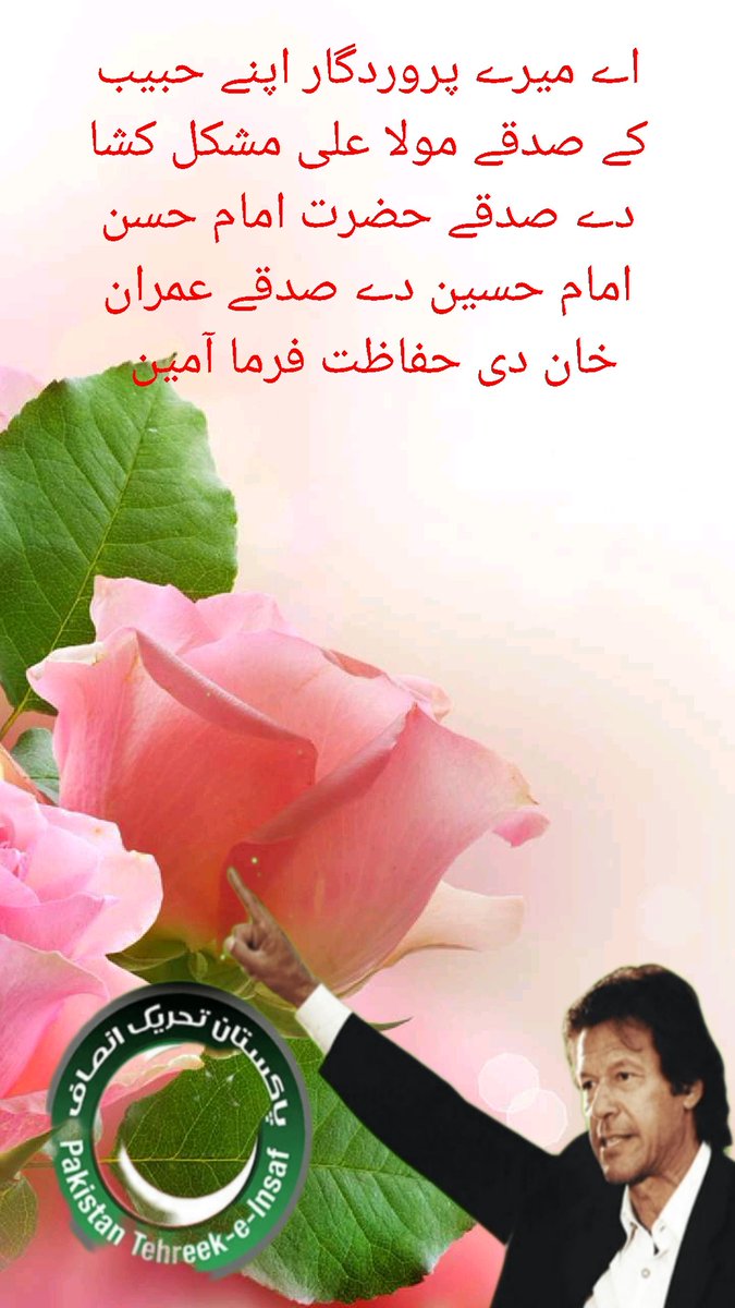 شفاقت انصاری PTI سپورٹ tweet media