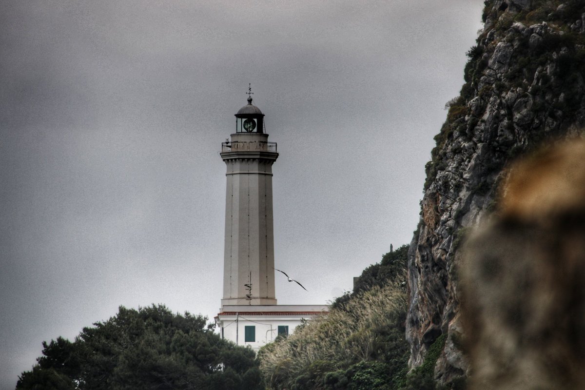 Gianchi60's tweet photo. #Palermo #Sicilia #Sicily #capofaro #cefalu https://t.co/DfqtkenpDa