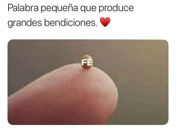 FabianAlisandro's tweet photo. https://t.co/8juTMv03Km