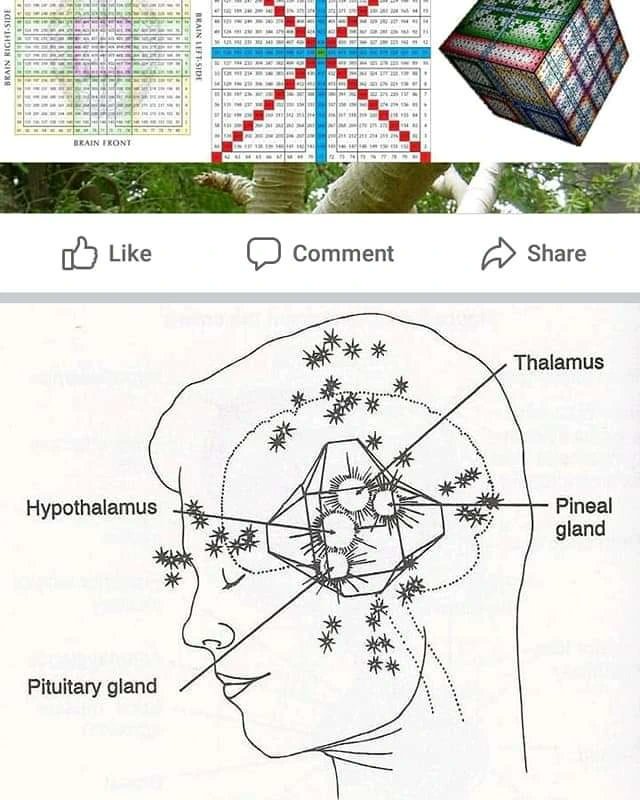 Joseph Paul Duffey tweet media