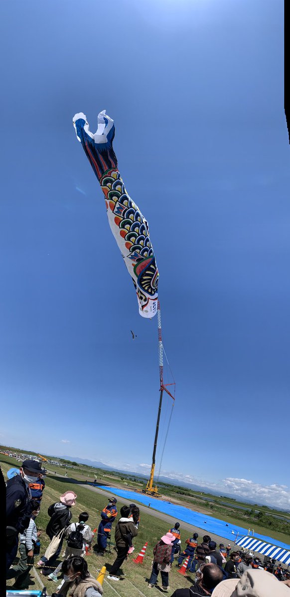 mikotane's tweet photo. 第13回　加須市民平和祭

快晴の空に全長100mのジャンボこいのぼり4世が高らかに泳ぎました🎏

#加須市
#ジャンボこいのぼり
#加須市民平和祭 https://t.co/CkKHLwexpZ