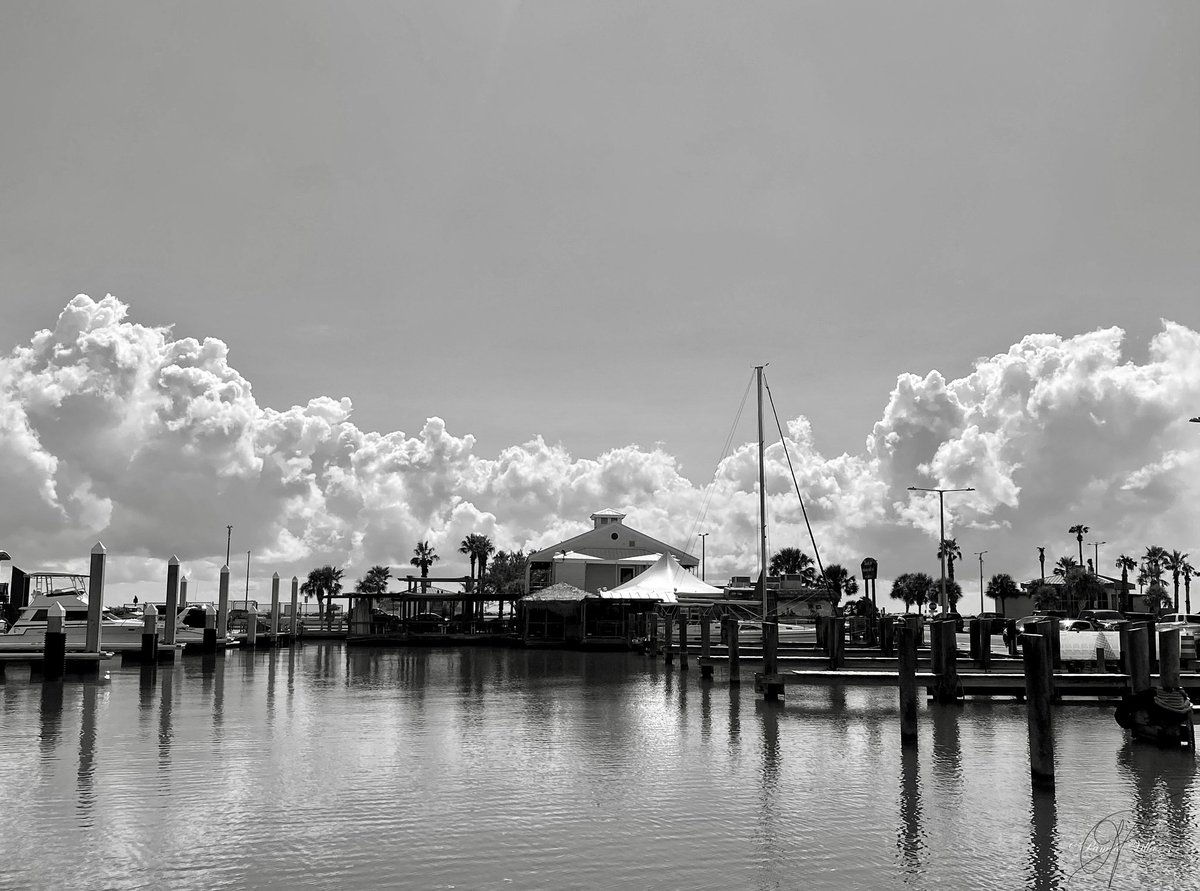 Sunflower_6982's tweet photo. Black and white photograph #MyPhotography #MyTherapy https://t.co/uKVoQu3vp2