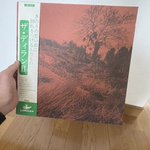 ザ・ディランIIのレコードを500円で買ったら…中から旧札で2万円出てきた!