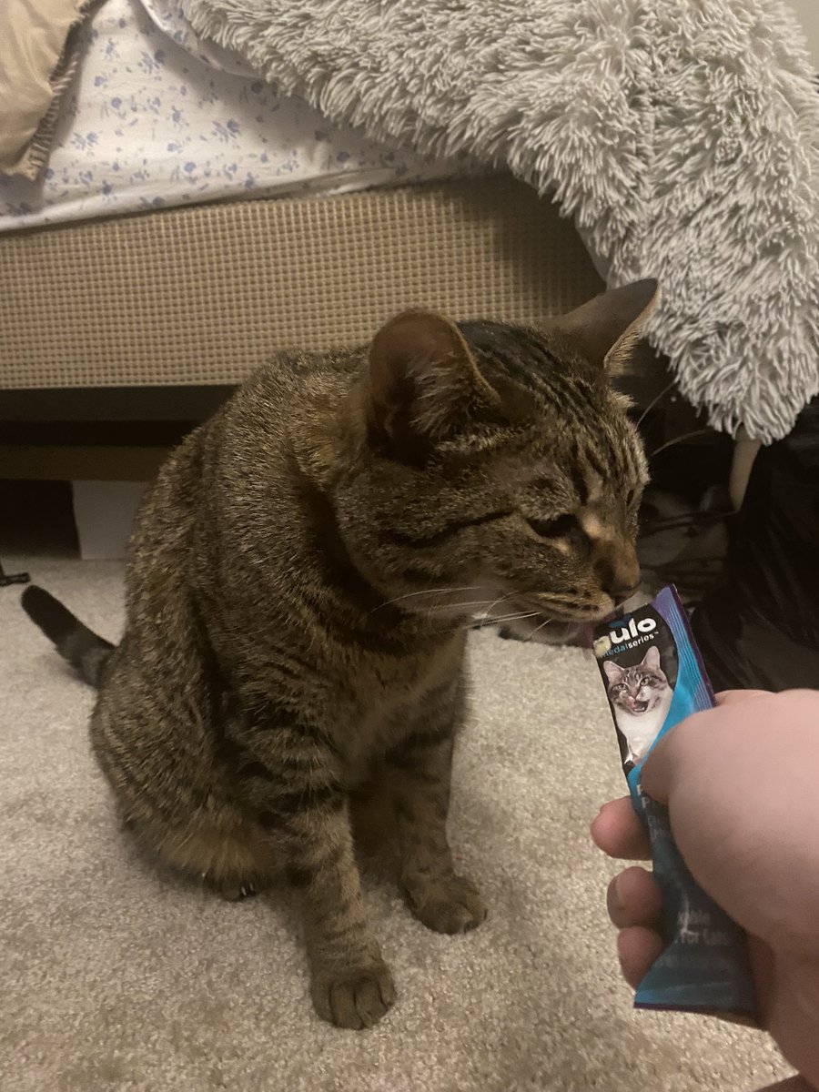 lildestroyrdrax's tweet photo. i’m got tastey gogurt for mine birth day https://t.co/rjqCdTxWiX