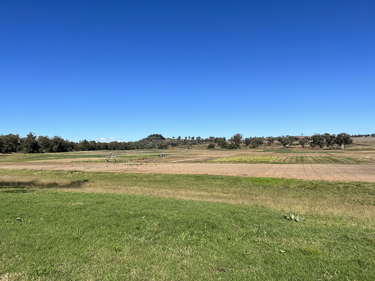 Checking out the <a href="/BASF_Agro_Au/">BASF Agricultural Solutions Australia</a> Research Farm in Tamworth as Junior Agronomy training. Bit of a change of scenery from the WA trial work.