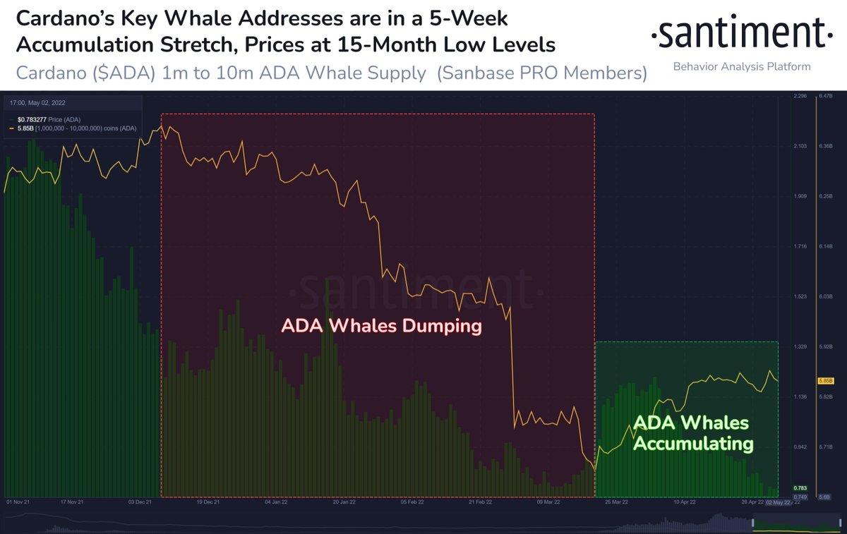 🐳📈 #Cardano whale addresses holding 1M to 10M $ADA are accumulating their  bags these past 5 weeks (196M more $ADA) after a 7-month stretch of dumping  (-1.7M less $ADA). The 9th largest