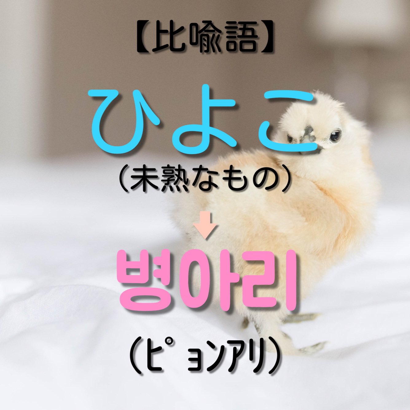 福山市韓国語教室 K Room Jktkorea Twitter