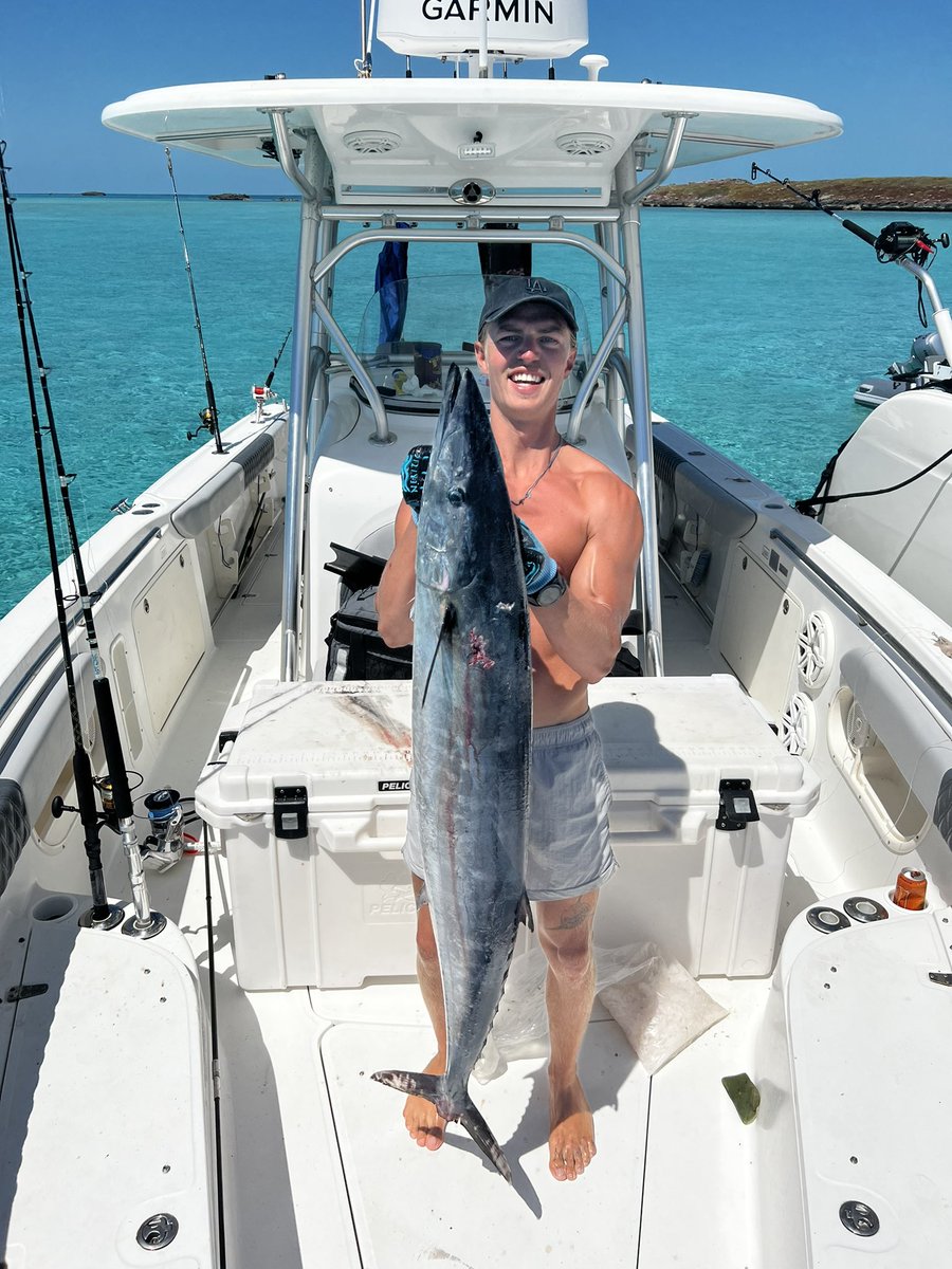 Banner🤙🏽 tweet media