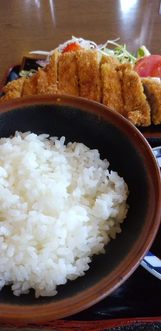 カツ丼のtwitterイラスト検索結果