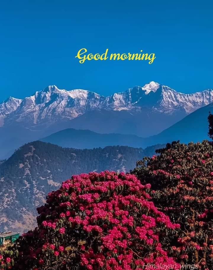 Subhash43450263's tweet photo. https://t.co/qUSQDlZZ7Y