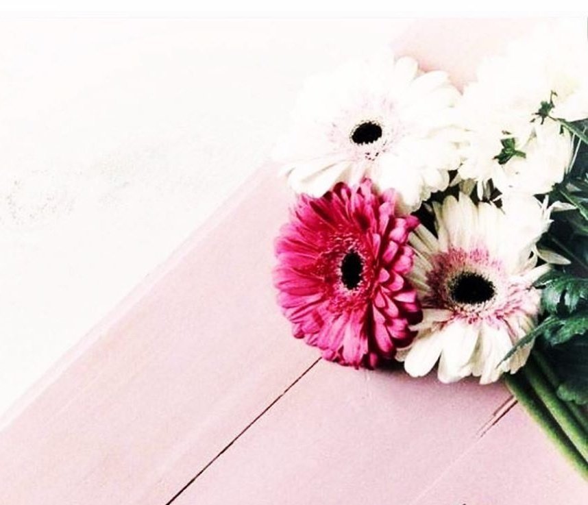 hooob (@hooob_6) on Twitter photo 