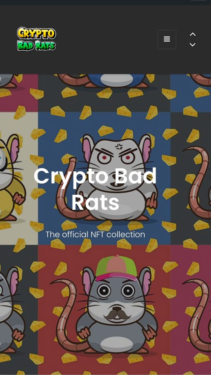 🌐 Working on the website!
💪 We hope to have it ready soon.

🚨 Trade on <a href="/opensea/">OpenSea</a> 👉bit.ly/37ReoI5

#NFTs #NFT #NFTCommmunity #nftart #NFTCollection #PolygonNFT #Cryptobadrats #NFTMint #NFTGiveaway #nftlover #NFTartist