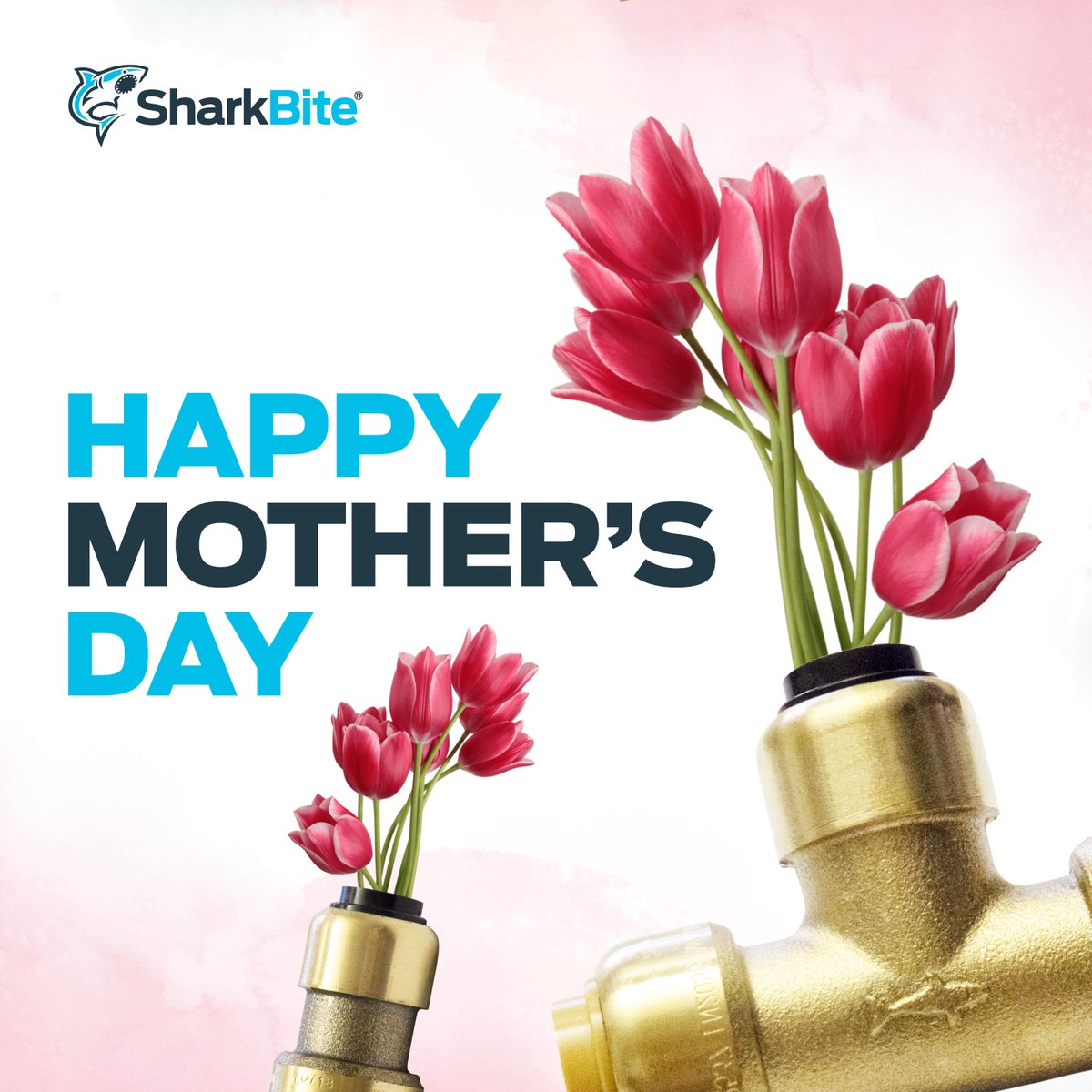 Happy Mother’s Day to all the mothers out there! May your day be as lovely as your are. ❤️

#SharkBite #NothingBeatsTheShark #MothersDay
#LoveYouMum