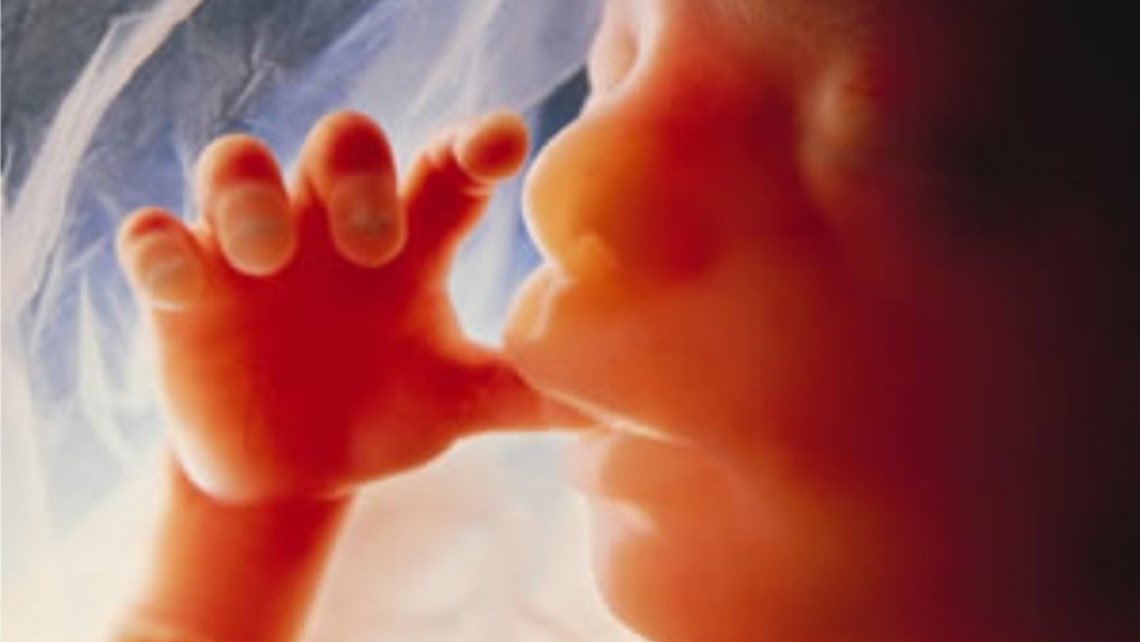 johnvdurham's tweet photo. Life….a gift from God to be treasured and protected. https://t.co/LlOlZQNhED