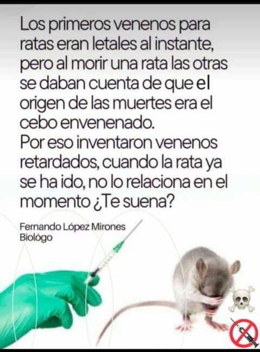#Nomáspase porque es un experimento sanitario y de masas <a href="/MaiteOrsini/">Maite Orsini Pascal 🌳</a> <a href="/DoctorJLCastro/">Senador Juan Luis Castro</a> <a href="/colmedchile/">Colegio Médico de Chile - Colmed Chile</a> @NataliaRavanales1 <a href="/ReneFuchsloche2/">René Fuchslocher</a>  <a href="/biobio/">BioBioChile</a> <a href="/Cooperativa/">Cooperativa</a> <a href="/24HorasTVN/">24 Horas</a> <a href="/CNNChile/">CNN Chile</a> <a href="/canal13/">El 13</a> <a href="/chilevision/">Chilevisión</a> <a href="/LaRedTV/">LaRed</a>