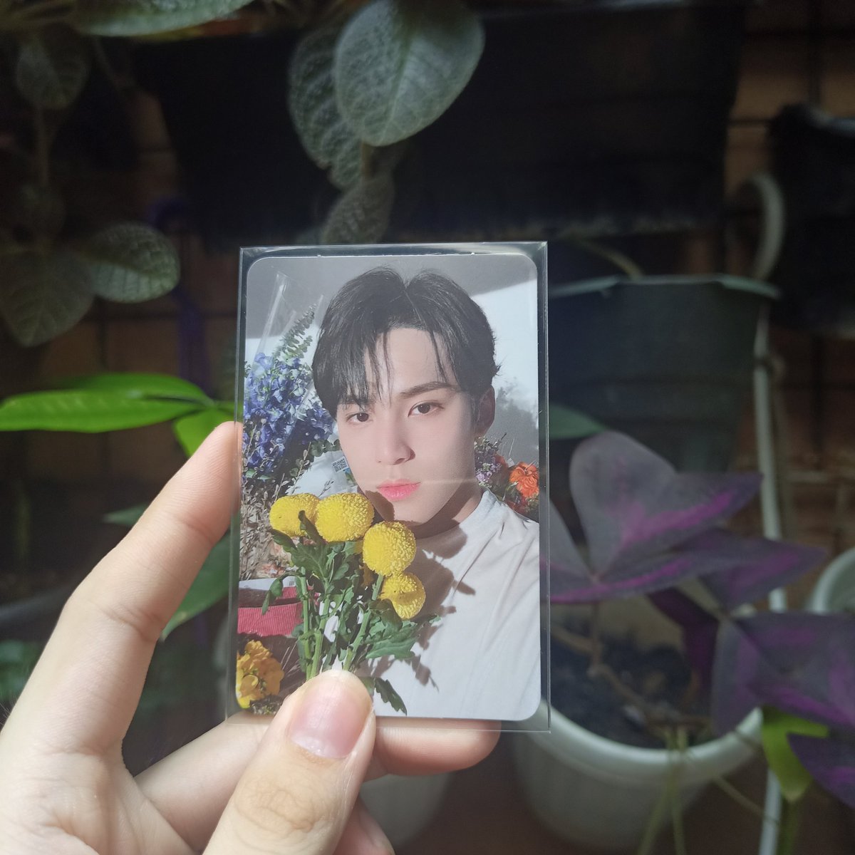 laucartz_'s tweet photo. . . . . . ╰──╮#lausgotmails
GRABE YUNG KILIG KO KASE IM OFFICIALLY A GYU MANLILIGAW HAVER NAAAA😭😭😭❤️❤️❤️ THANK U FOR LETTING ME ADOPT THIS POGII @GObylovesdyo !!
#lovesdyofeedbacks https://t.co/wyVms2H7GY