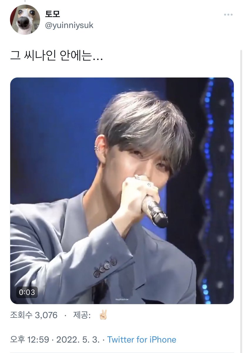 봄날 tweet media