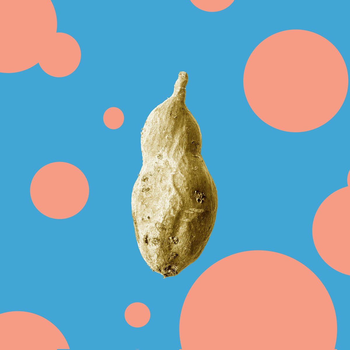 chiechelski's tweet photo. These 2 tatoes are on 🔥🔥🔥.
If I get 100 likes on this tweet I will give one of them to a luck person.
@SolPotatoNFT #MintOfTheWeek #SolanaGiveaways #SolanaNFT https://t.co/6xUO4wi0kF