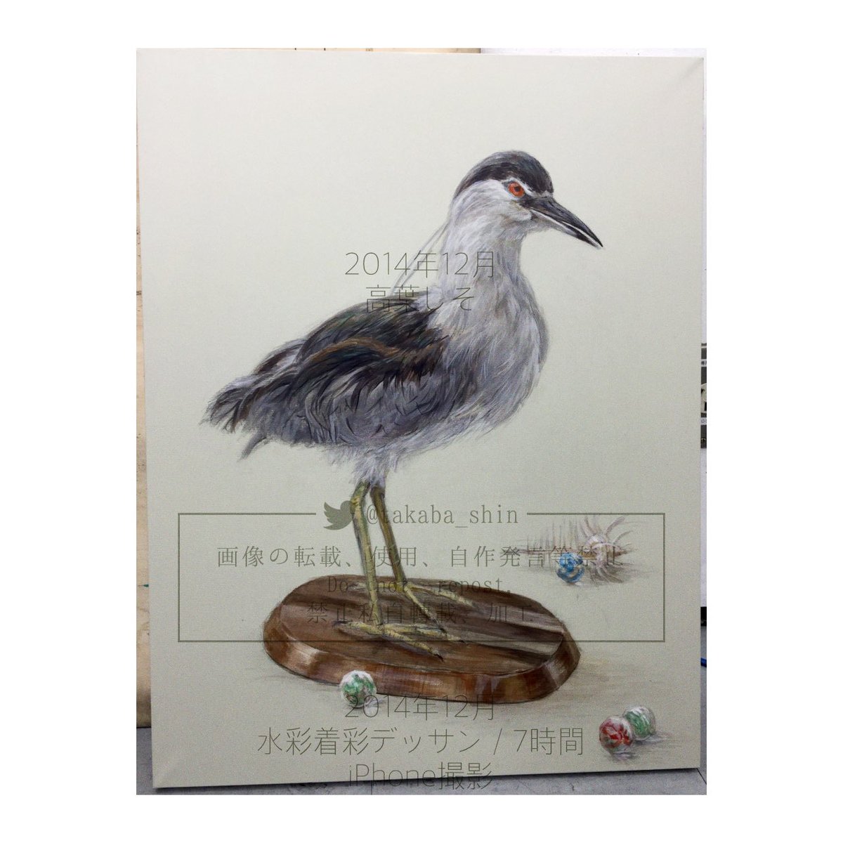 【過去絵投稿】課題制作その2
2014年
⑴多分画塾で描いたやつおそらく5時間前後
⑵デッサンのテストで描いたやつ2時間
⑶画塾で描いた鳥の剥製7時間
#shisoART 